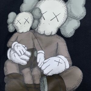 BNWT Kaws Tshirt for Men